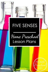 Printable five senses lesson plans for home preschool. Save time by using these activities to introduce the five senses in a playful, hands-on way.