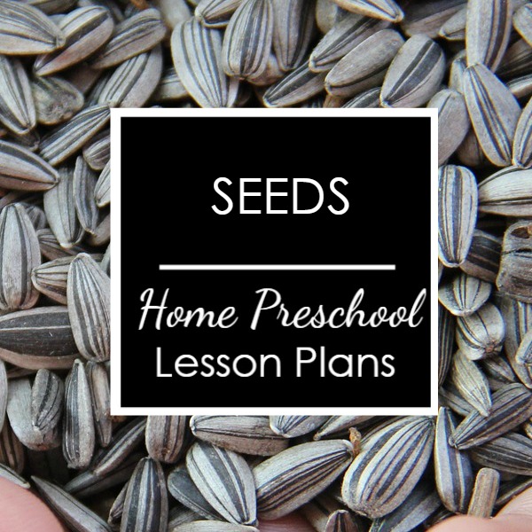 Seeds Home Preschool Lesson Plan Home Preschool 101