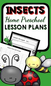 Insect Theme Lesson Plans for home preschool with math, science, reading, sensory activities and playful ideas for teaching kids about bugs